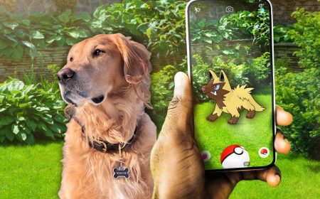Pokémon Go: Jugador le rinde homenaje a su perrito fallecido