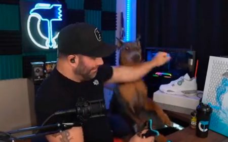 Streamer de Twitch condenado en redes sociales por golpear a su perro contra un refrigerador