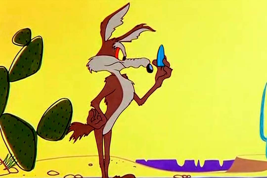 Coyote vs Acme 