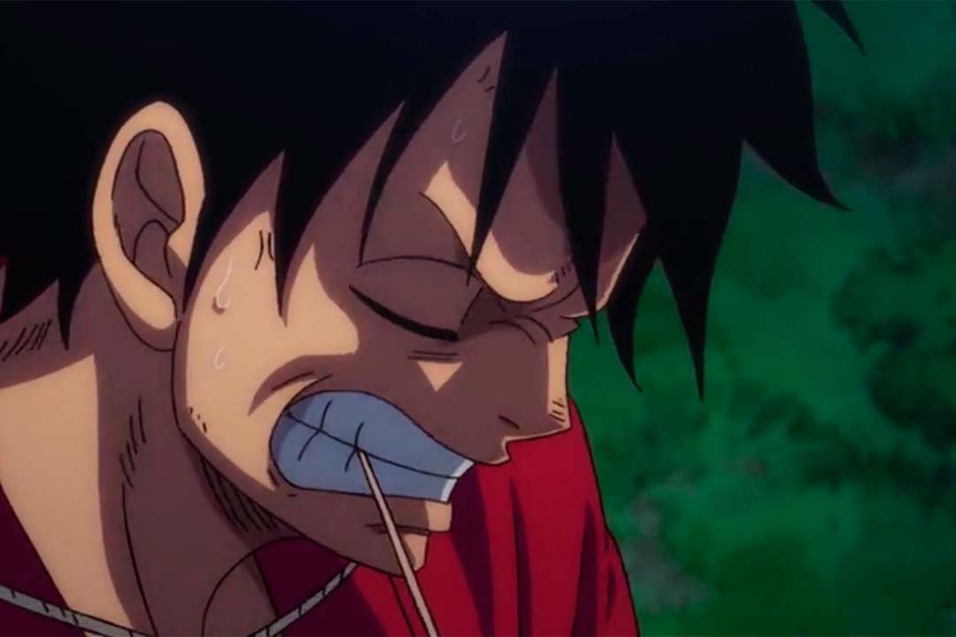 One Piece fan Ucrania
