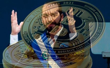 Las criptomonedas caen y con ellas, El Salvador