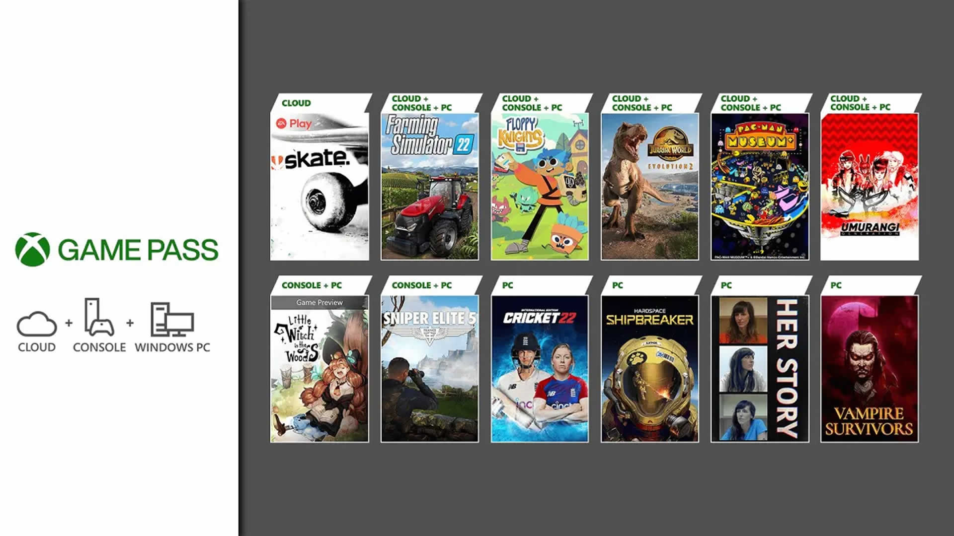 Game Pass mayo
