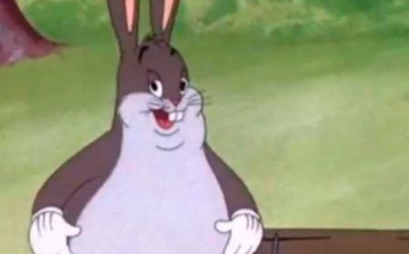 MultiVersus: Big Chungus podría ser el próximo luchador