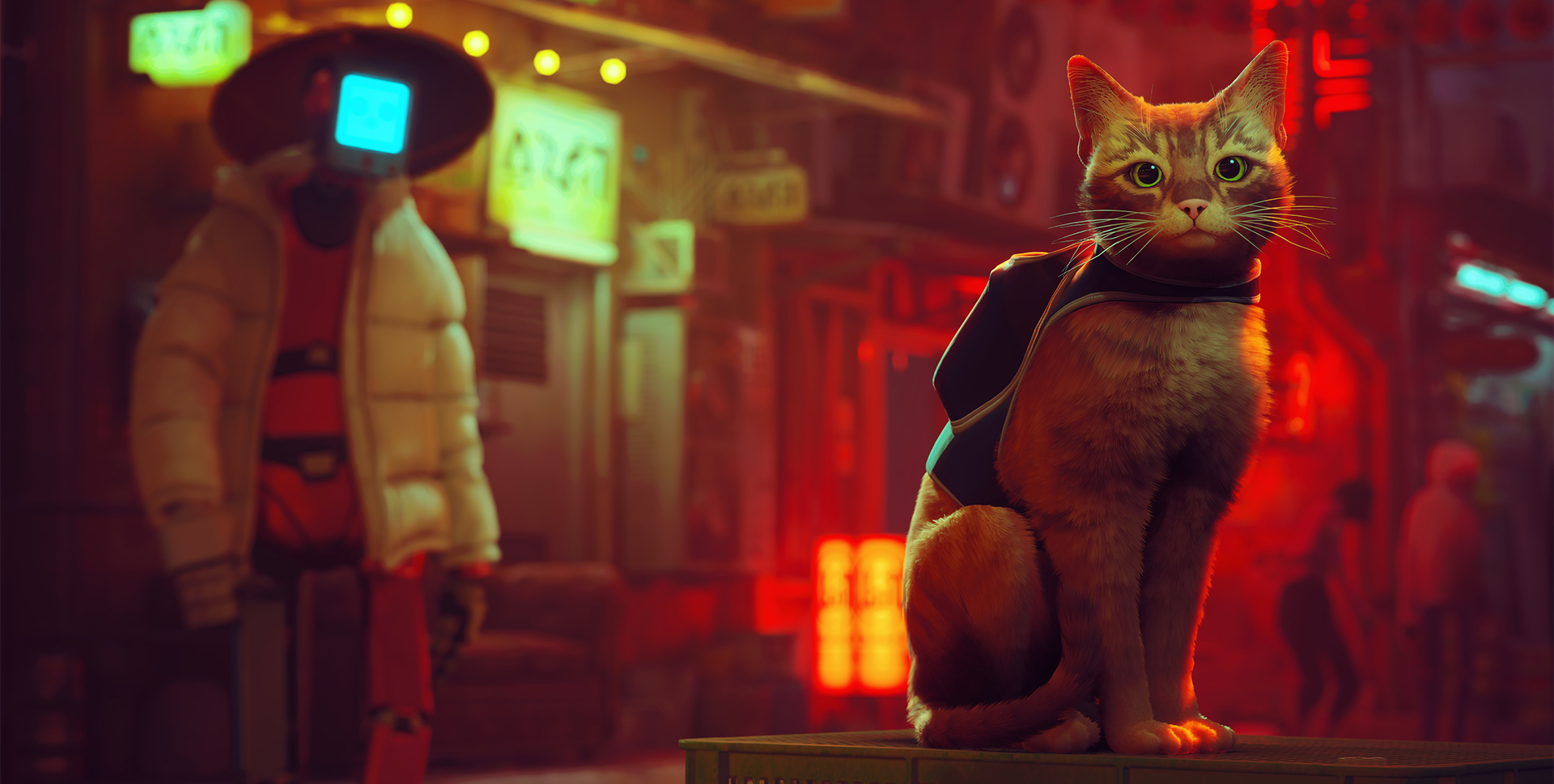 Imagen de Stray | Review