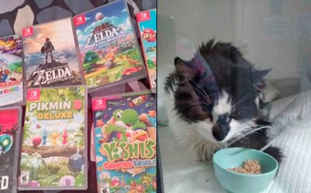 Gamer chileno vendió sus juegos de Switch para pagar tratamiento a su gata