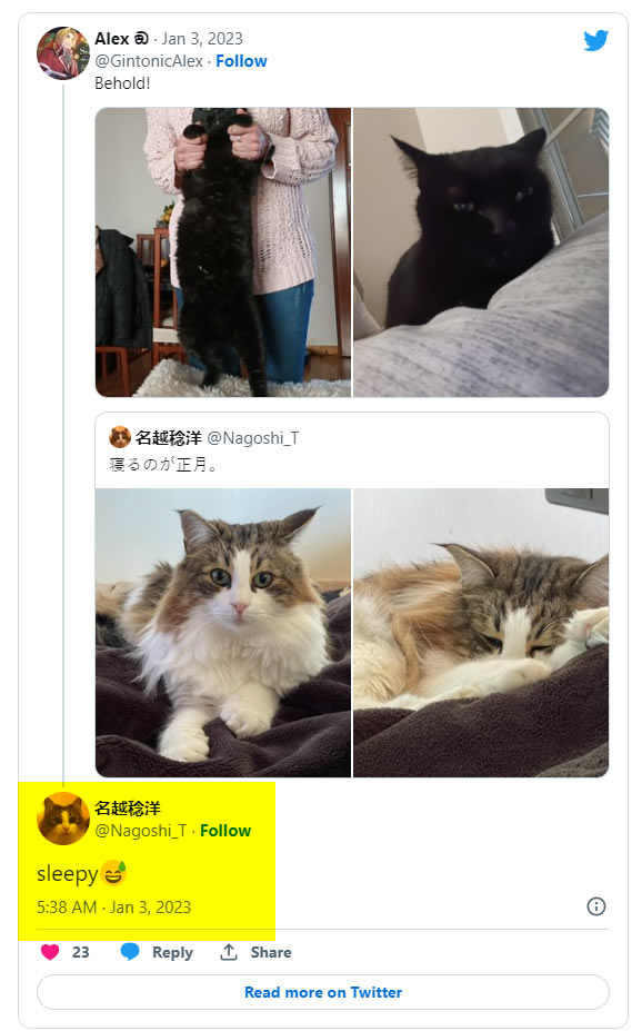 nagoshi gatos