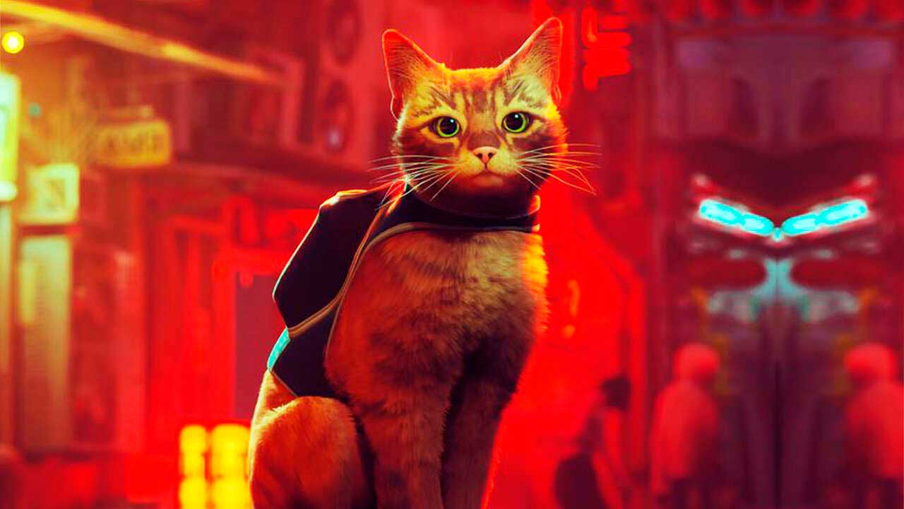 Stray