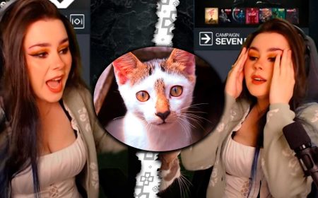 Streamer pierde todo su progreso en HITMAN 3 por culpa de su gato