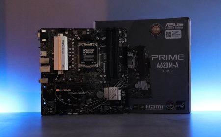 ASUS PRIME A620M-A (CSM) – REVIEW