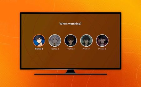 Crunchyroll finalmente lanzará perfiles múltiples